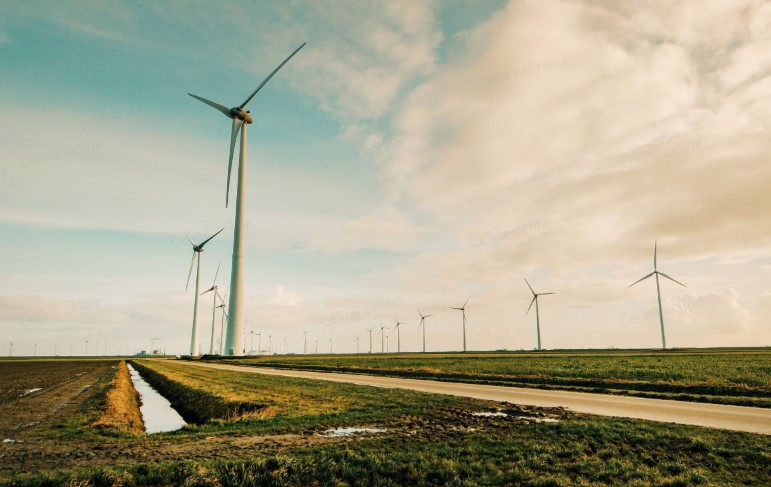 renewable energy