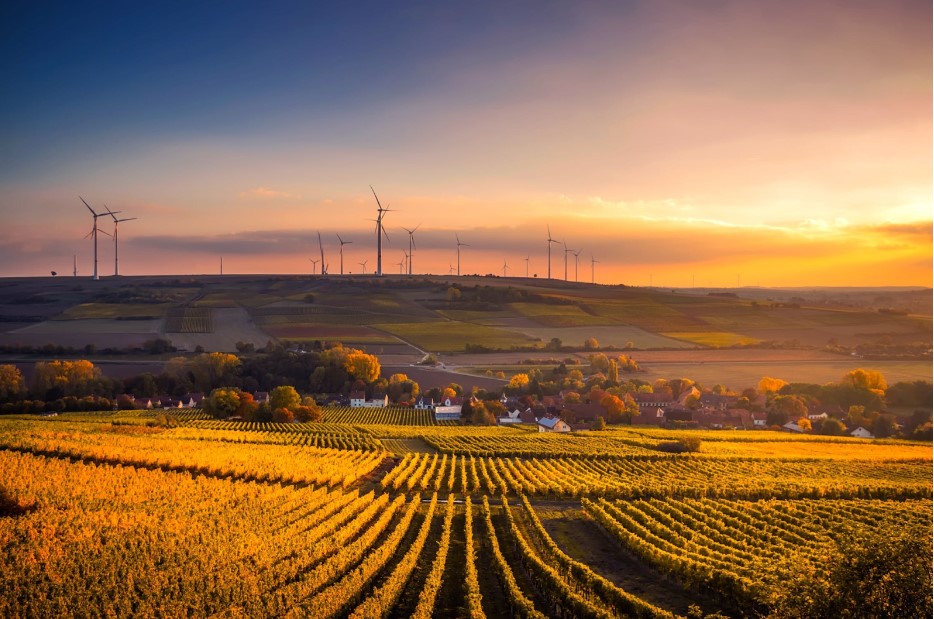 sustainability reporting