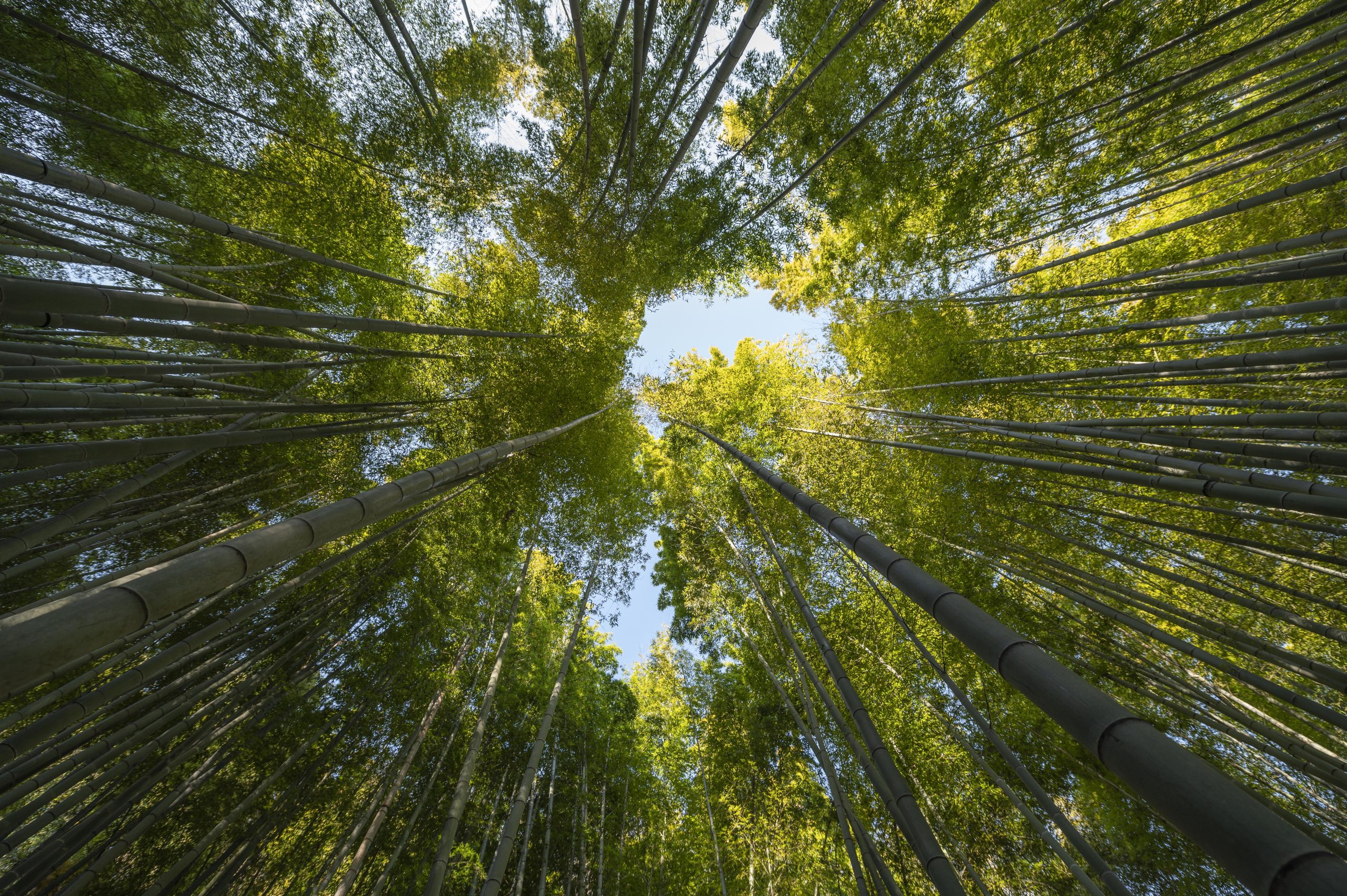 Environmental Attribute