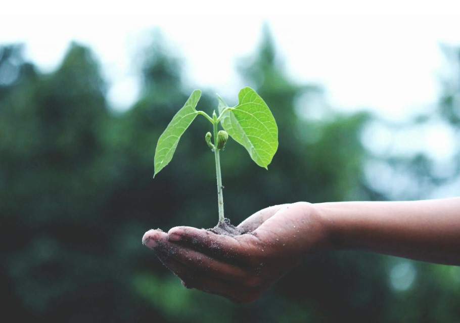 sustainability recs and irecs